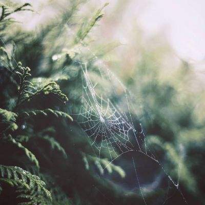 亚博体育(中国)官方网站下载手机版