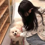 澳门金沙扫码下载